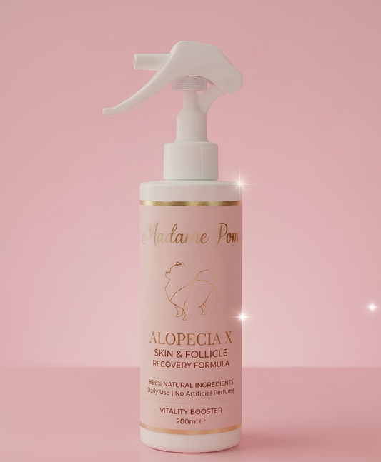 Lozione Rigenerante per la Malattia della Pelle Nera (BSD) e Alopecia X Pomeranian