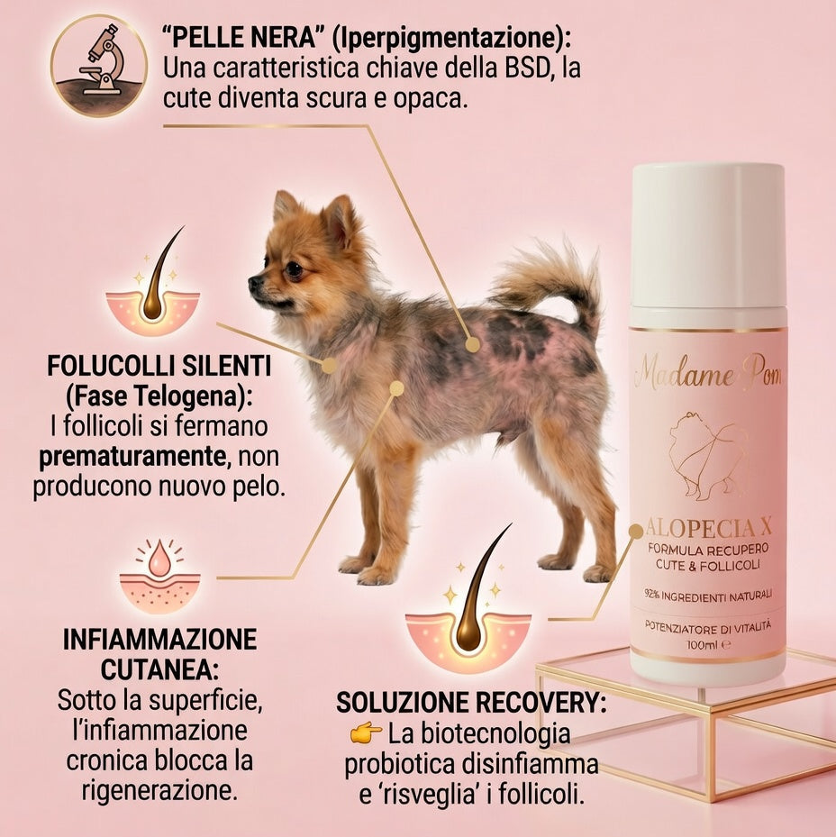 Lozione Rigenerante per la Malattia della Pelle Nera (BSD) e Alopecia X Pomeranian