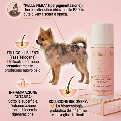 Lozione Rigenerante per la Malattia della Pelle Nera (BSD) e Alopecia X Pomeranian